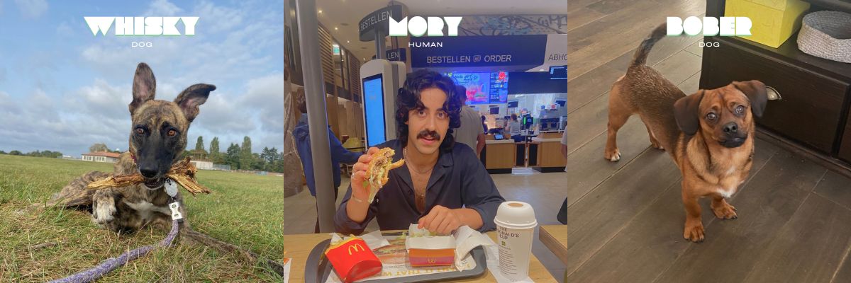 Mory Naimi with two dogs, snapshot from a Painbusterz newsletter series.